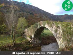 puente del parque natural de redes