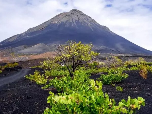 261004 cabo verde