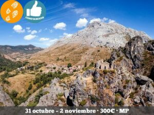 261031 montes de boÑar